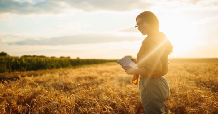 Beyond Fatigue: How Advanced Folate Forms are Redefining Energy and Brain Health